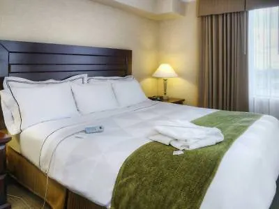 ***  Radisson Suites Hotel Toronto Airport Canada