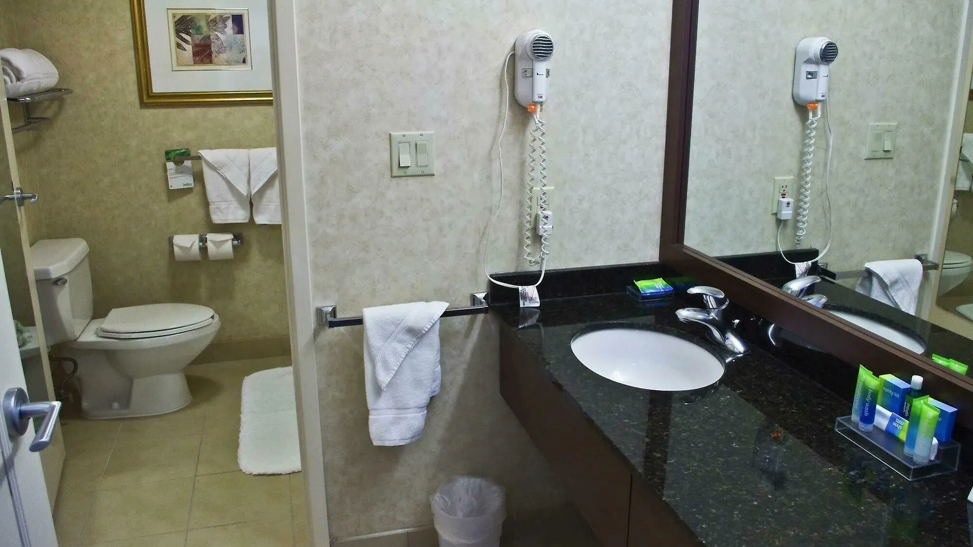 Radisson Suites Hotel Toronto Airport Canada